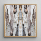Barking Mad 3 - Trippy Tree Trunk Art Print / Canvas, Barking Mad’s Striking Symmetry, Trippy Tree Trunk, Striking Symmetry Presents