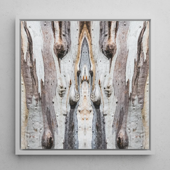 Barking Mad 3 - Trippy Tree Trunk Art Print / Canvas, Barking Mad’s Striking Symmetry, Trippy Tree Trunk, Striking Symmetry Presents