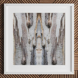 Barking Mad 3 - Trippy Tree Trunk Art Print / Canvas White-framed Artwork Symmetrical Abstract Composition Bark Muted Mad’s Striking