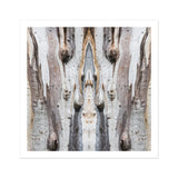 Barking Mad 3 - Trippy Tree Trunk Art Print / Canvas, 12x12’’ / 31x31cm / Unframed / White Border, Posters Prints & Visual Artwork, Toby