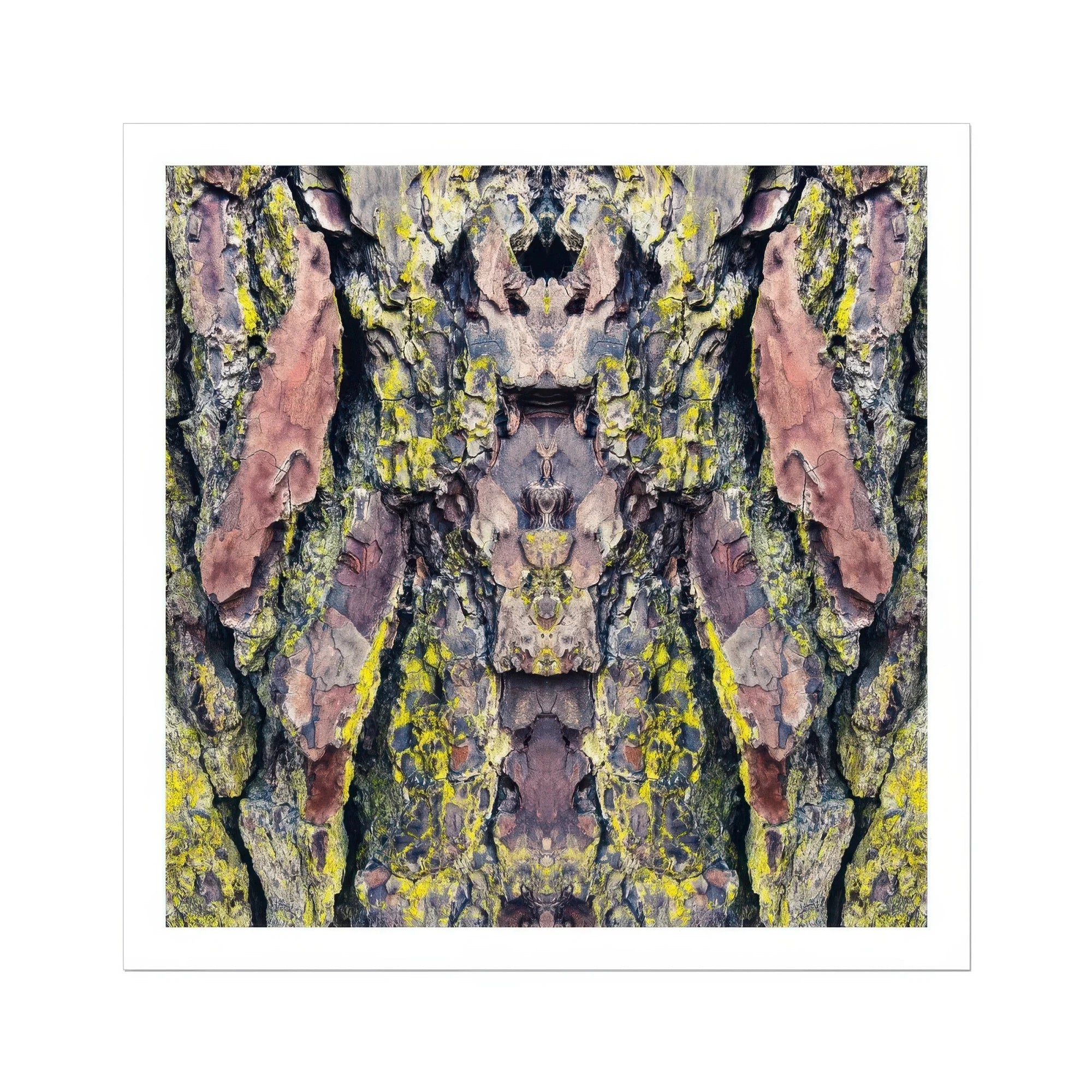Barking Mad too - Trippy Tree Trunk Art Print, Tree Bark Pink Yellow Gray Lichen Patterns Arranged