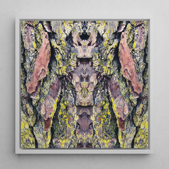 Barking Mad too - Trippy Baumstamm-Kunstdruck / Leinwand, 12x12’’ / 31x31cm / Weißer Rahmen, Poster Drucke & visuelle Kunstwerke, Toby Leon