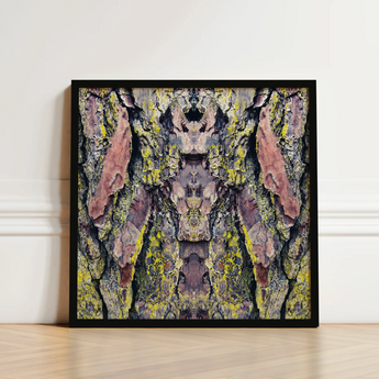 Black-framed Square Canvas Print Symmetrical Abstract Design Tree Barking Mad Transports, Nature’s Textures Dance, Kaleidoscopic Realm