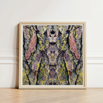 Square-framed Artwork Symmetrical Abstract Composition Tree Bark Patches Barking Mad Transports, Nature’s Textures Dance, Kaleidoscopic