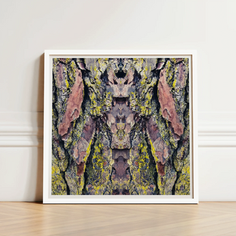 Square-framed Artwork Symmetrical Abstract Composition Tree Bark Textured Barking Mad Transports, Nature’s Textures Dance, Kaleidoscopic