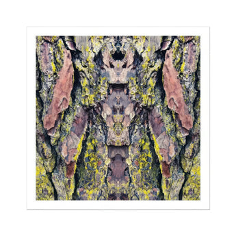 Barking Mad too - Trippy Tree Trunk Art Print / Canvas Tree Bark Pink Yellow Gray Lichen Patterns Arranged Barking Mad Transports, Nature’s
