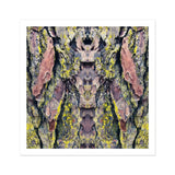 Barking Mad too - Trippy Tree Trunk Art Print / Canvas Bark Pink Yellow Gray Lichen Patterns Arranged Transports, Nature’s Textures Dance,