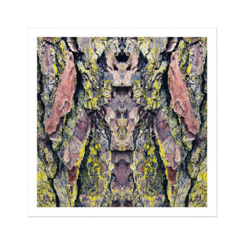 Barking Mad too - Trippy Tree Trunk Art Print / Canvas Bark Pink Yellow Gray Lichen Patterns Arranged Transports, Nature’s Textures Dance,