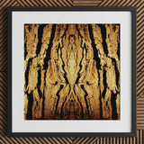 Barking Mad - Trippy Tree Trunk Art Print / Canvas Black-framed Symmetrical Golden-brown Bark Pattern, Australian, Mesmerizing Abstract