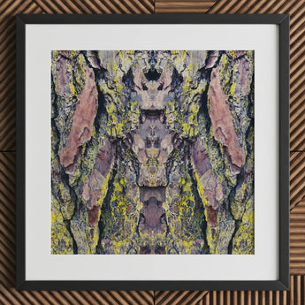 Barking Mad too - Trippy Tree Trunk Art Print / Canvas Framed Abstract Photograph Bark Symmetrical Kaleidoscopic Design Transports,