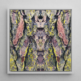 Barking Mad too - Trippy Tree Trunk Art Print / Canvas Square-framed Abstract Artwork Symmetrical Kaleidoscopic Pattern Tree Bark Barking