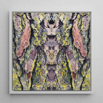 Barking Mad too - Trippy Tree Trunk Art Print / Canvas Square-framed Abstract Artwork Symmetrical Kaleidoscopic Pattern Bark Transports,