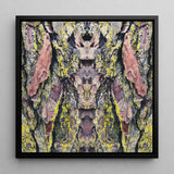 Barking Mad too - Trippy Tree Trunk Art Print / Canvas Square-framed Abstract Artwork Symmetrical Kaleidoscopic Pattern Bark Transports,