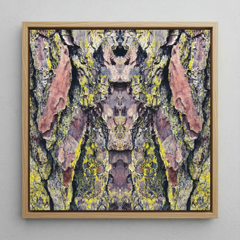 Barking Mad too - Trippy Tree Trunk Art Print / Canvas Square-framed Artwork Symmetrical Abstract Composition Bark Textured Transports,