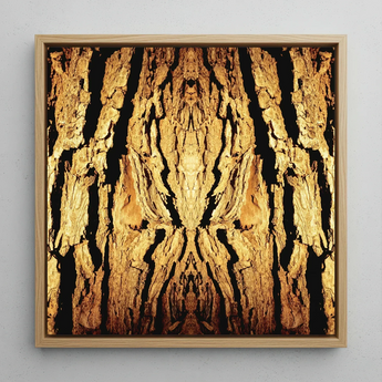 Barking Mad - Trippy Tree Trunk Art Print / Canvas Square-framed Artwork Symmetrical Golden-brown Tree Bark Pattern Dark Trippy Trunk,