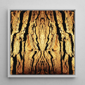 Barking Mad - Trippy Tree Trunk Art Print / Canvas Square-framed Artwork Symmetrical Mirrored Textured Tree Bark Warm Trippy Trunk,