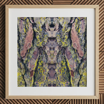 Barking Mad too - Trippy Tree Trunk Art Print / Canvas Square-framed Art Print Symmetrical Abstract Composition Tree Bark Barking Mad