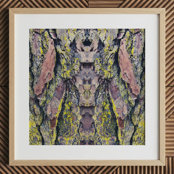 Barking Mad too - Trippy Tree Trunk Art Print / Canvas Square-framed Symmetrical Abstract Composition Bark Transports, Nature’s Textures