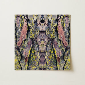 Barking Mad too - Trippy Tree Trunk Art Print / Canvas, Barking Mad Transports, Nature’s Textures Dance, Kaleidoscopic Realm