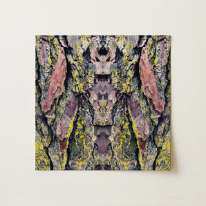 Barking Mad too - Trippy Tree Trunk Art Print / Canvas Square Canvas Print Symmetrical Abstract Design Tree Bark Barking Mad Transports,