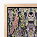 Framed Artwork Symmetrical Abstract Design Tree Bark Textured Barking Mad Transports, Nature’s Textures Dance, Kaleidoscopic Realm