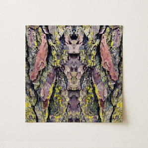 Barking Mad too - Trippy Tree Trunk Art Print / Canvas, Barking Mad Transports, Nature’s Textures Dance, Kaleidoscopic Realm