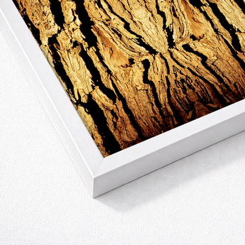 White-framed Artwork Close-up Textured Golden-brown Tree Bark Deep Trippy Trunk, Australian, Mesmerizing Abstract Print