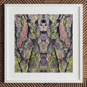 Barking Mad too - Trippy Tree Trunk Art Print / Canvas White-framed Artwork Symmetrical Abstract Composition Tree Bark Patches Barking Mad