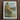 Black Framed Nude Beach Scene Art Print Henry Scott Tuke, Cornish Shoreline, Fine