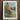 White Framed Nude Beach Scene Painting Henry Scott Tuke, Cornish Shoreline, Fine Art Print