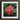 Framed Photograph Vibrant Cluster Pink Ixora Flowers Surrounded Chinese, Flame Tree, Nature’s Untamed Vibrancy