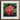 Framed Photograph Vibrant Cluster Pink Ixora Flowers Surrounded Chinese, Flame Tree, Nature’s Untamed Vibrancy