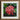Square-framed Photograph Vibrant Cluster Pink Ixora Flowers Glossy Chinese, Flame Tree, Nature’s Untamed Vibrancy