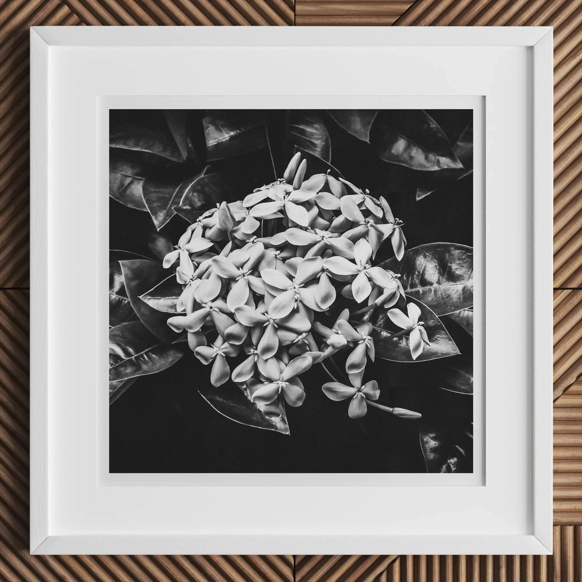Belle Of The Ball Giclée Print - Black And White Wall Art - Posters Prints & Visual Artwork - Aesthetic Art