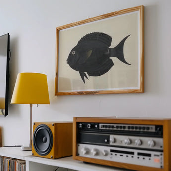 Black Surgeonfish - Luigi Balugani Sea Life Art Print / Canvas Black Fish Artwork Wooden Frame Luigi Balugani, Midnight-hued Glides,