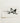Black Ink Bird Stencil Print Off-white Paper Swallow, Taguchi Tomoki, Single, Breaks, Art