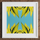 In Bloom - Tirage d’art photographique moderne de succulente / Toile, 12x12’’ / 31x31cm / Cadre blanc / Passe-partout, Posters, estampes & œuvres d’art visuel,