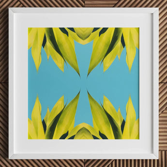 In Bloom - Modern Succulent Photography Art Print / Canvas Framed Artwork Symmetrical Kaleidoscopic Pattern Vibrant Yellow-green Leaves