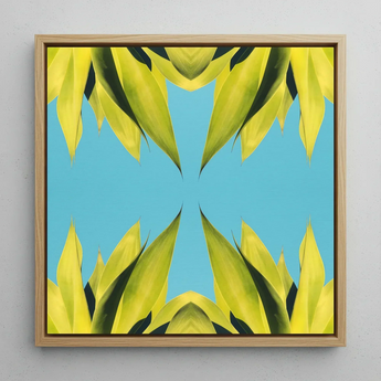 In Bloom - Modern Succulent Photography Art Print / Canvas Square-framed Artwork Symmetrical Vibrant Yellow-green Leaf Pattern Bright