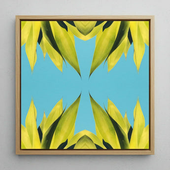 In Bloom - Modern Succulent Photography Art Print / Canvas Square-framed Artwork Symmetrical Vibrant Yellow-green Leaf Pattern Bright
