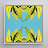 In Bloom - Modern Succulent Photography Art Print / Canvas Square-framed Artwork Symmetrical Vibrant Yellow-green Leaf Pattern Bright