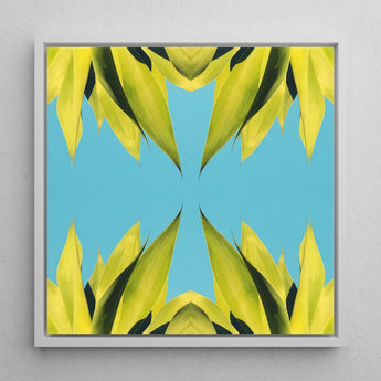 In Bloom - Modern Succulent Photography Art Print / Canvas Square-framed Artwork Symmetrical Vibrant Yellow-green Leaf Pattern Bright