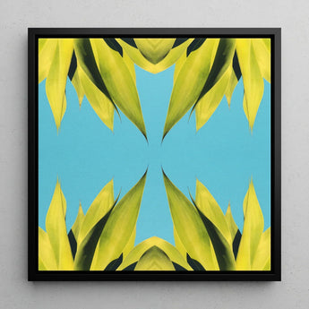 In Bloom - Modern Succulent Photography Art Print / Canvas Square-framed Piece Symmetrical Abstract Design Vibrant Avant-garde, Trippy,