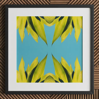 In Bloom - Modern Succulent Photography Art Print / Canvas Vibrant Abstract Painting Symmetrical Lime-green Leaf Shapes Bright Avant-garde,
