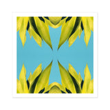In Bloom - Modern Succulent Photography Art Print / Canvas Yellow Leaves Arranged Symmetrical Kaleidoscope Pattern Avant-garde, Trippy,