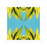 In Bloom - Modern Succulent Photography Art Print / Canvas Yellow Leaves Arranged Symmetrical Kaleidoscope Pattern Avant-garde Succulent