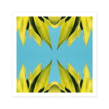 In Bloom - Tirage d’art photographique moderne de succulente / Toile, 12x12’’ / 31x31cm / Sans cadre / Bordure blanche, Posters, estampes & œuvres d’art visuel,