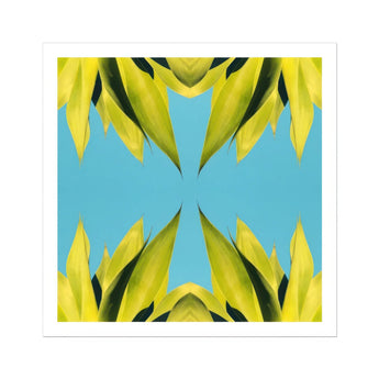 In Bloom - Tirage d’art photographique moderne de succulente / Toile, 12x12’’ / 31x31cm / Sans cadre / Bordure blanche, Posters, estampes & œuvres d’art visuel,