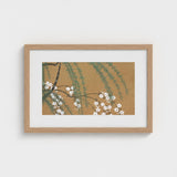 Blossoms from Momoyogusa - Kamisaka Sekka Art Print / Canvas Framed Artwork Delicate White Green Foliage Warm Sekka’s, Meiji Era’s Artistic