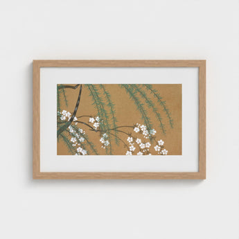 Blossoms from Momoyogusa - Kamisaka Sekka Art Print / Canvas Framed Artwork Delicate White Green Foliage Warm Sekka’s, Meiji Era’s Artistic